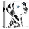 Dalmatian Date V-null-Stretched Canvas