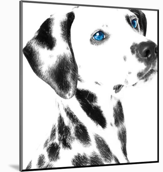 Dalmatian Date V-null-Mounted Art Print