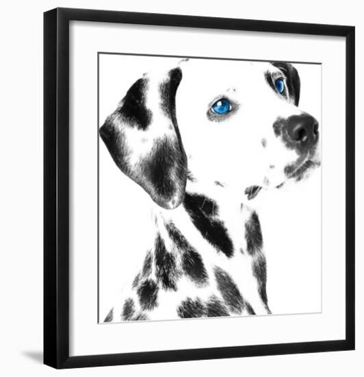 Dalmatian Date V-null-Framed Art Print