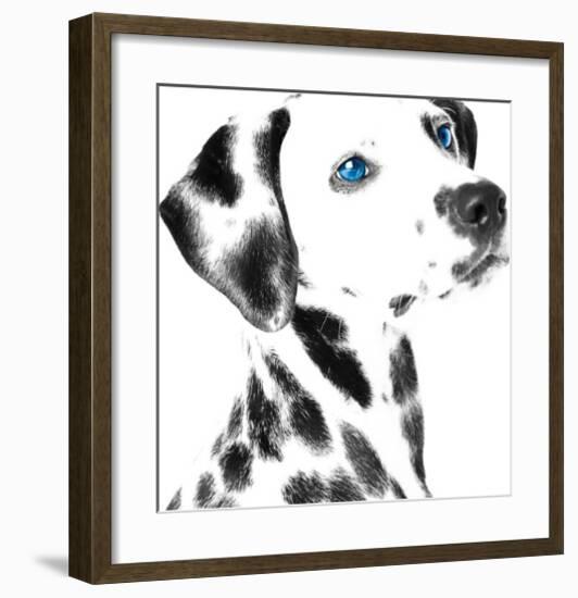 Dalmatian Date V-null-Framed Art Print