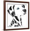 Dalmatian Date V-null-Framed Art Print