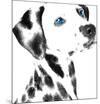 Dalmatian Date V-null-Mounted Art Print