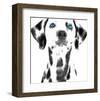 Dalmatian Date VI-null-Framed Art Print