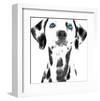 Dalmatian Date VI-null-Framed Art Print