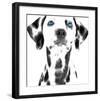 Dalmatian Date VI-null-Framed Art Print