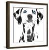 Dalmatian Date VI-null-Framed Art Print