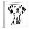 Dalmatian Date VI-null-Framed Art Print