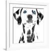 Dalmatian Date VI-null-Framed Art Print