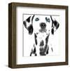 Dalmatian Date VI-null-Framed Art Print