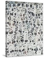 Dalmatian Disco, 2016-Holly Frean-Stretched Canvas