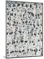 Dalmatian Disco, 2016-Holly Frean-Mounted Giclee Print