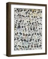 Dalmatian Disco, 2016-Holly Frean-Framed Giclee Print