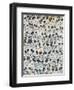 Dalmatian Disco, 2016-Holly Frean-Framed Giclee Print