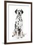 Dalmatian Dog Portrait-Jagodka-Framed Photographic Print