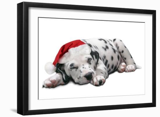 Dalmatian Dog Puppy Asleep, Wearng Christmas Hat-null-Framed Photographic Print