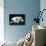 Dalmatian Dog Puppy Asleep-null-Photographic Print displayed on a wall