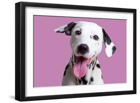 Dalmatian Dog-null-Framed Photographic Print