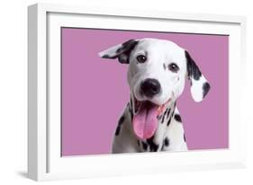 Dalmatian Dog-null-Framed Photographic Print