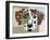 Dalmatian Dog-Adefioye Lanre-Framed Giclee Print