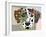 Dalmatian Dog-Adefioye Lanre-Framed Giclee Print