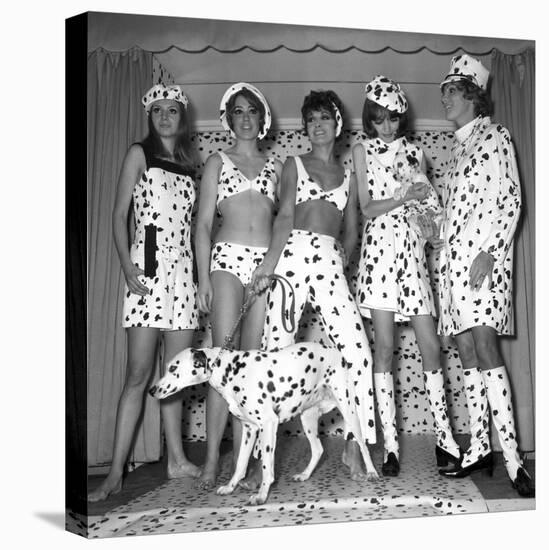 Dalmatian Fashion, Paris, 26 October 1967-null-Stretched Canvas
