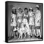 Dalmatian Fashion, Paris, 26 October 1967-null-Framed Stretched Canvas