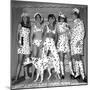 Dalmatian Fashion, Paris, 26 October 1967-null-Mounted Photo