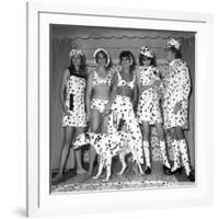 Dalmatian Fashion, Paris, 26 October 1967-null-Framed Photo