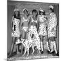 Dalmatian Fashion, Paris, 26 October 1967-null-Mounted Photo