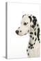 Dalmatian (Head Shot)-null-Stretched Canvas