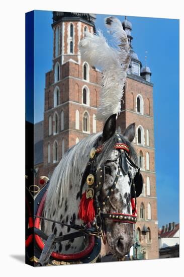 Dalmatian Horse in Cariage-snoofek-Stretched Canvas