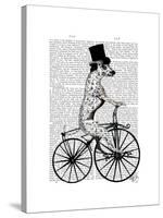 Dalmatian on Bicycle-Fab Funky-Stretched Canvas