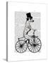 Dalmatian on Bicycle-Fab Funky-Stretched Canvas