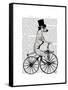 Dalmatian on Bicycle-Fab Funky-Framed Stretched Canvas