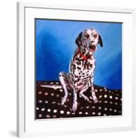 Dalmatian on spotty cushion, 2011,-Helen White-Framed Giclee Print