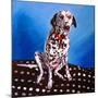 Dalmatian on spotty cushion, 2011,-Helen White-Mounted Giclee Print