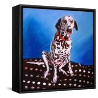 Dalmatian on Spotty Cushion, 2011-Helen White-Framed Stretched Canvas