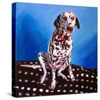 Dalmatian on Spotty Cushion, 2011-Helen White-Stretched Canvas