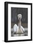 Dalmatian Pelican (Pelecanus Crispus) at the Lake Kerkini, Macedonia, Greece, February 2009-Peltomäki-Framed Photographic Print