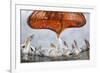 Dalmatian Pelican (Pelecanus Crispus) Low Angle Perspective of Open Bill, Lake Kerkini, Greece-Bence Mate-Framed Photographic Print