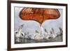 Dalmatian Pelican (Pelecanus Crispus) Low Angle Perspective of Open Bill, Lake Kerkini, Greece-Bence Mate-Framed Photographic Print