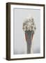 Dalmatian Pelican (Pelecanus Crispus) Portrait, Lake Kerkini, Macedonia, Greece, February 2009-Peltomäki-Framed Photographic Print