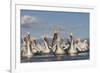 Dalmatian Pelicans (Pelecanus Crispus) on Lake Kerkini, Macedonia, Greece, February 2009-Peltomäki-Framed Photographic Print