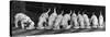 Dalmatian Puppy Peeps Over a Large Wicker Baske, February 1960-null-Stretched Canvas