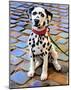 Dalmatian Puppy-Robert Mcclintock-Mounted Art Print