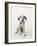 Dalmatian Puppy-Don Mason-Framed Photographic Print