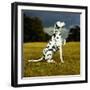 Dalmatian Sitting with Paw Up-Sally Anne Thompson-Framed Photographic Print