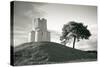 Dalmatian Stone Church on the Hill-xbrchx-Stretched Canvas