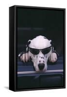 Dalmatian Wearing Sunglasses-DLILLC-Framed Stretched Canvas