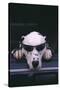 Dalmatian Wearing Sunglasses-DLILLC-Stretched Canvas